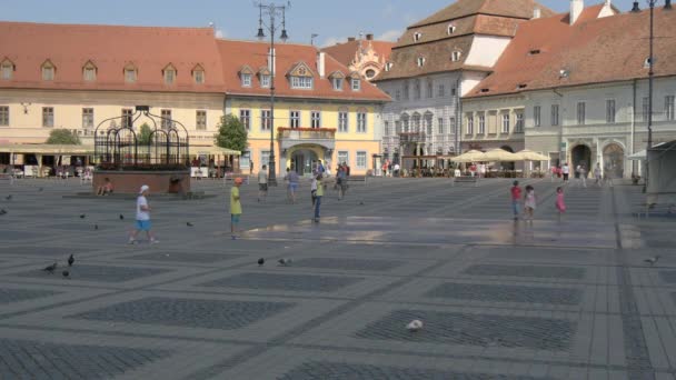 Jugar Cerca Fuente Centro Ciudad Sibiu — Vídeo de stock
