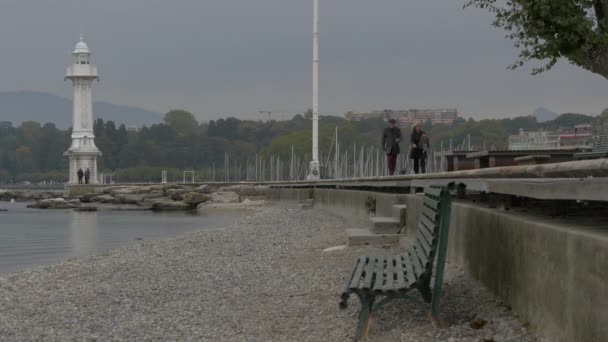 Orilla Del Lago Ginebra — Vídeo de stock