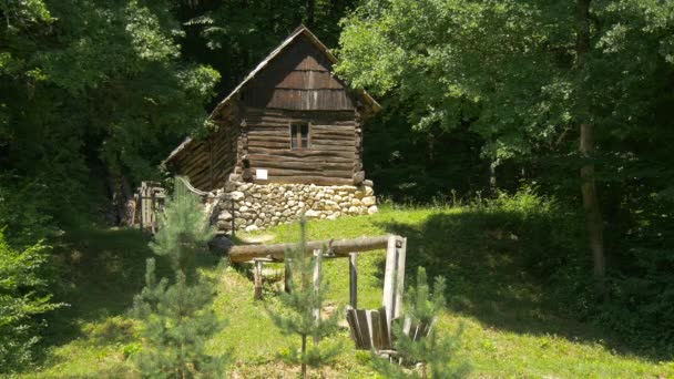 Традиционный Деревянный Дом Лесу — стоковое видео