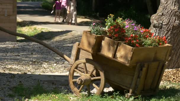 Holzkarren Als Blumentopf — Stockvideo