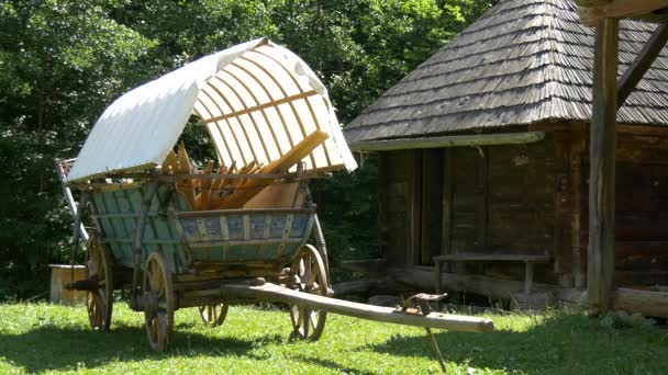 Carrello Cavalli Legno Vicino — Video Stock