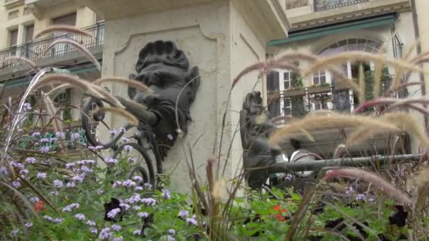 Fontaine Aux Fleurs Place Molard — Video