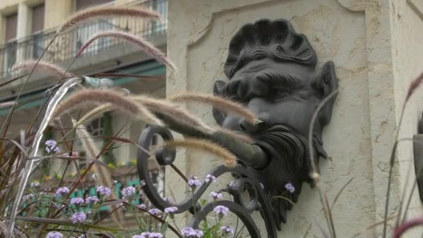 Close Fountain Head Sculpture — стоковое видео