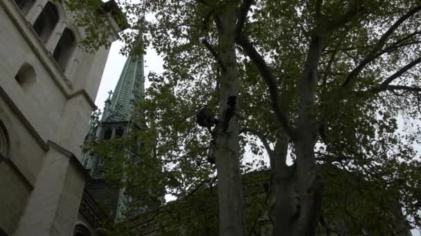 Cathédrale Saint Pierre Vue Derrière Les Arbres — Video