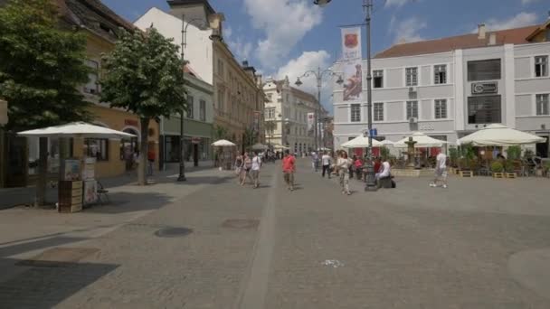 Tourists Walking Nicolae Balcescu Street Sibiu — Stockvideo