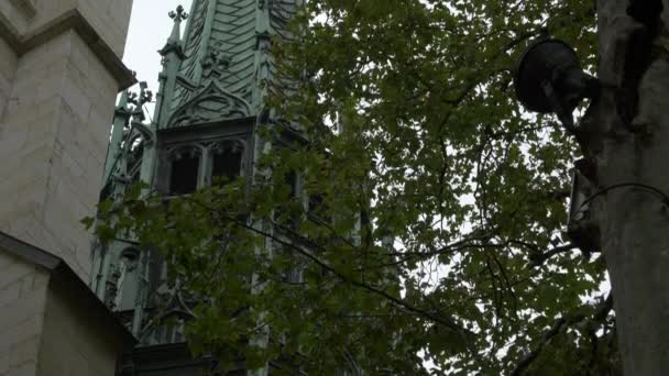 Torre Della Cattedrale Saint Pierre Vista Attraverso Rami — Video Stock