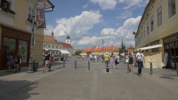 Stora Torget Sett Utifrån Nicoale Balcescu Gatan — Stockvideo