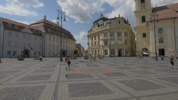 Paleis Brukenthal Het Stadhuis Sibiu — Stockvideo