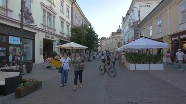 Nicolae Balcescu Straat Sibiu — Stockvideo