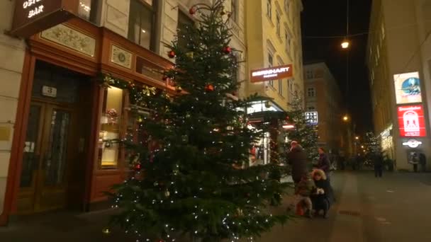 Himmelpfortgasse Calle Con Árboles Navidad — Vídeos de Stock