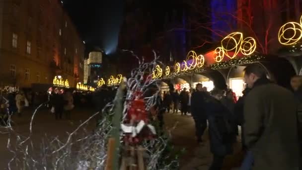 Passeggiate Mercatino Natale Stephansplatz — Video Stock