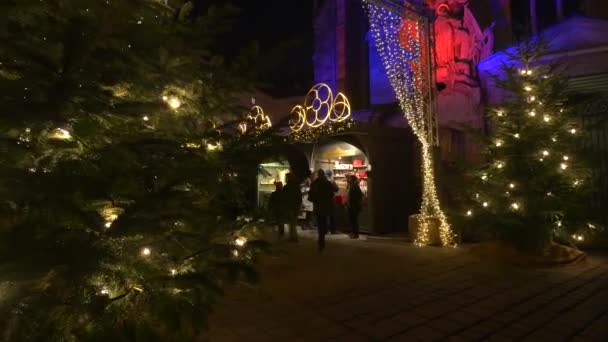 Árvores Natal Barracas Rua Mercado Natal — Vídeo de Stock