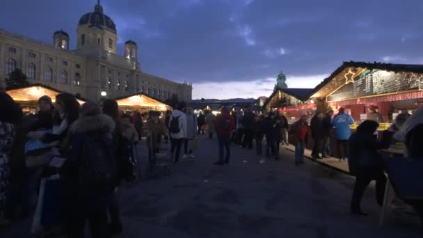 Maria Theresa Meydanı Ndaki Noel Pazarı Ndaki Insanlar — Stok video