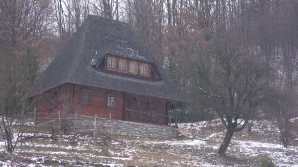 Casa Legno Una Foresta — Video Stock