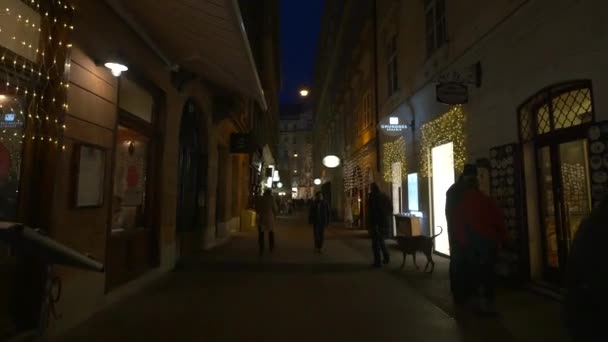 Περπατώντας Στην Οδό Braunerstrasse Νύχτα — Αρχείο Βίντεο