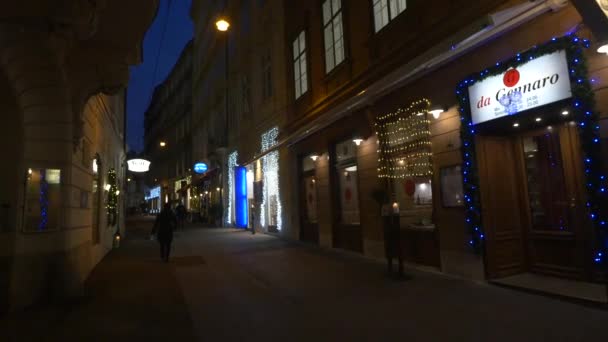 クリスマス ウィーン オーストリアのBraunerstrasse通り — ストック動画