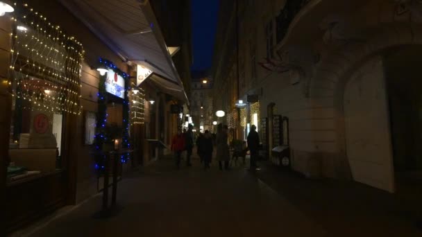 Spacer Braunerstrasse Boże Narodzenie Wiedeń Austria — Wideo stockowe