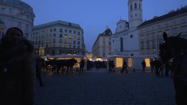 Transportul Cai Târgul Crăciun Din Michaelerplatz — Videoclip de stoc