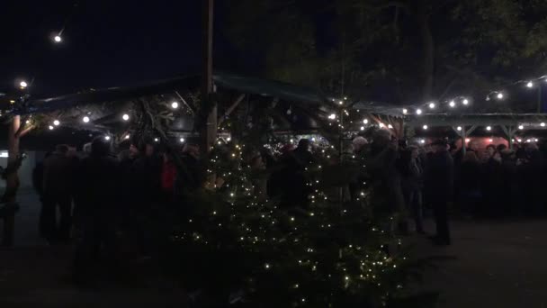 Slappna Julmarknad — Stockvideo