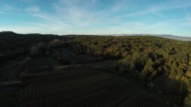 Landbouwvelden Bossen Vanuit Lucht Bekeken — Stockvideo