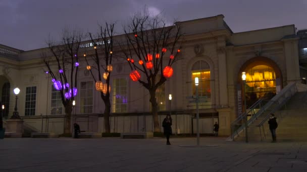 Museumsquartier装饰过的树 — 图库视频影像