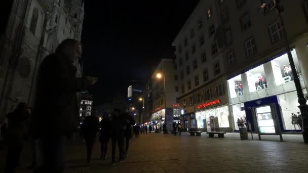 Caminhando Frente Stephansdom Uma Noite Natal — Vídeo de Stock