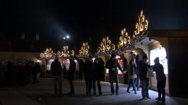 People Visiting Belvedere Christmas Market — Stock Video