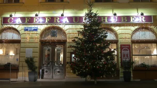 Julgran Framför Café Frauenhuber — Stockvideo