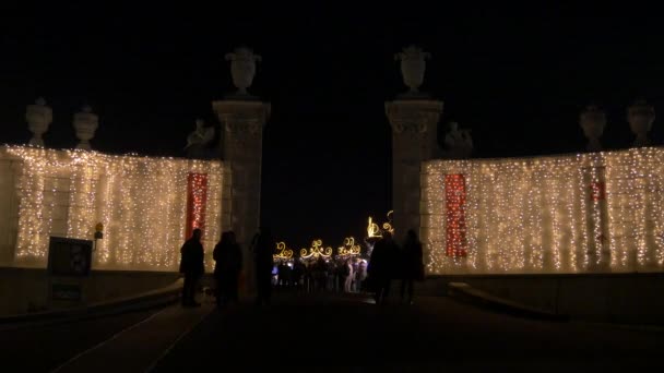 Ljus Vid Julmarknad Entré — Stockvideo