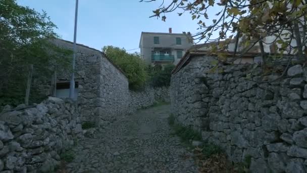 Stone Walls Paved Alley — Stock Video