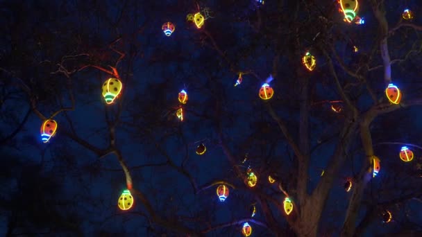 Tree Christmas Decorations — Stock Video