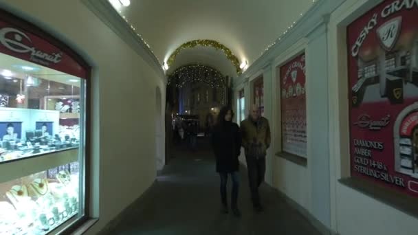 Touristen Der Kunstpassage Zur Weihnachtszeit — Stockvideo