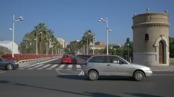 Street View Pont Les Flors — Stockvideo