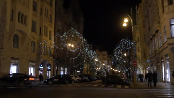 Mit Weihnachtsbeleuchtung Geschmückte Bäume Auf Einer Straße — Stockvideo