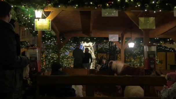 Pony Und Schaf Stall Eines Weihnachtsmarktes — Stockvideo