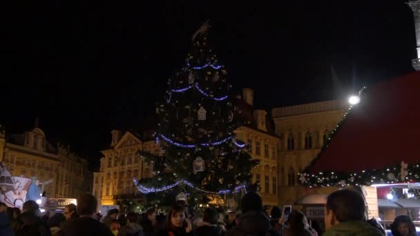 Gedecoreerde Kerstboom Een Kerstmarkt — Stockvideo