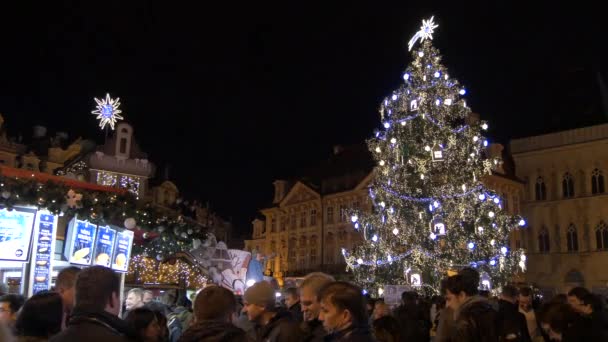 Kerstboom Straat Stal Kersttijd — Stockvideo
