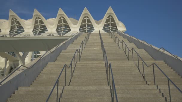 Felipe Science Museum Stairs — 비디오