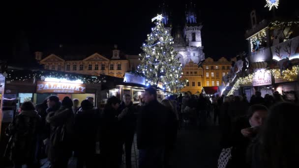 Toeristen Aan Kerstboom Praag — Stockvideo