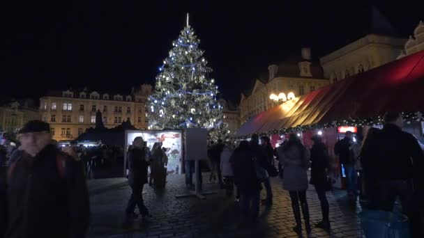 Kerstboom Het Oude Stadsplein Van Praag — Stockvideo