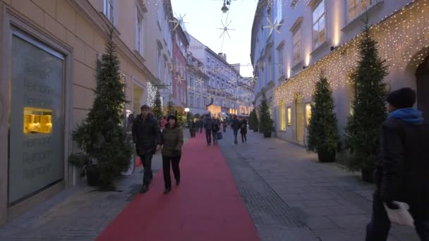Graz Bir Sokakta Noel Ağaçları Işıklar — Stok video