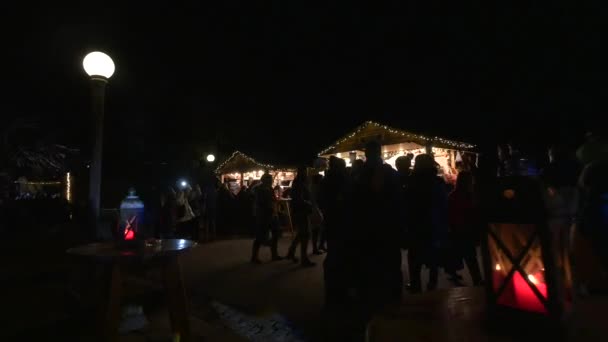 Människor Julmarknaden Natten — Stockvideo