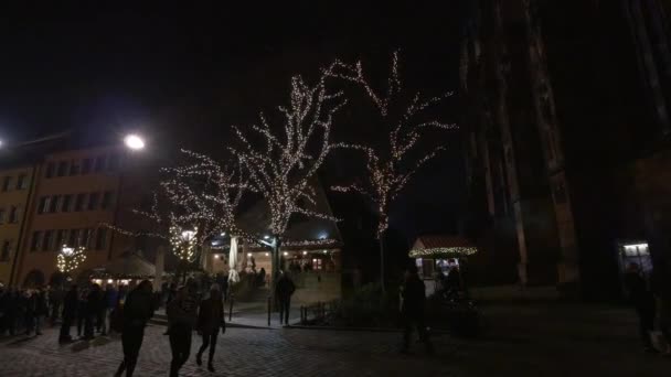 圣诞市场上的树木和摊位 — 图库视频影像