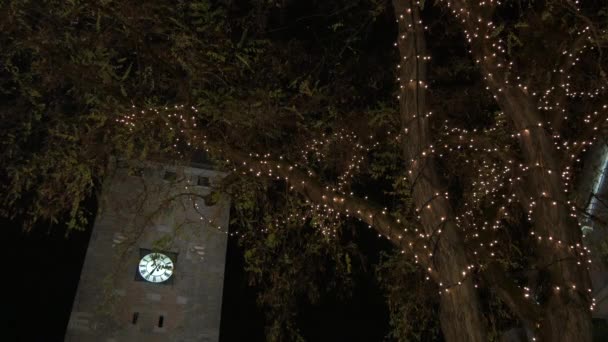 Witte Toren Een Boom Met Kerstverlichting — Stockvideo