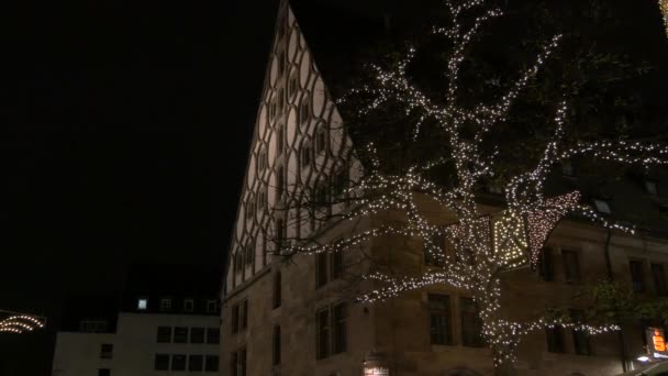 Gedecoreerde Boom Met Kerstverlichting — Stockvideo