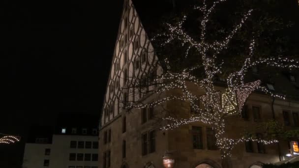 Árbol Decorado Con Luces Navidad — Vídeos de Stock