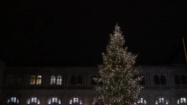 Der Weihnachtsbaum Der Nähe Des Nürnberger Hauptbahnhofs — Stockvideo