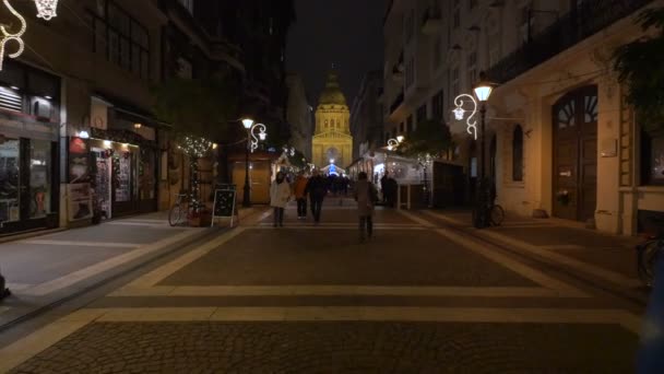 Promenader Zrinyi Gatan Natten Budapest — Stockvideo