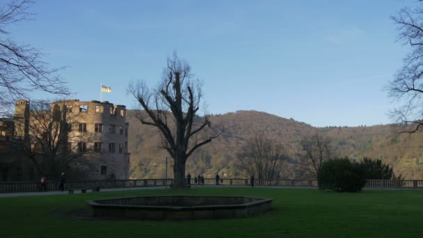 Pátio Castelo Heidelberg — Vídeo de Stock