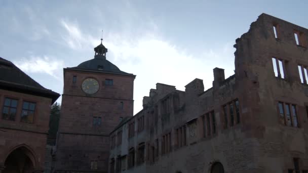 Ruinerna Heidelbergs Slott — Stockvideo